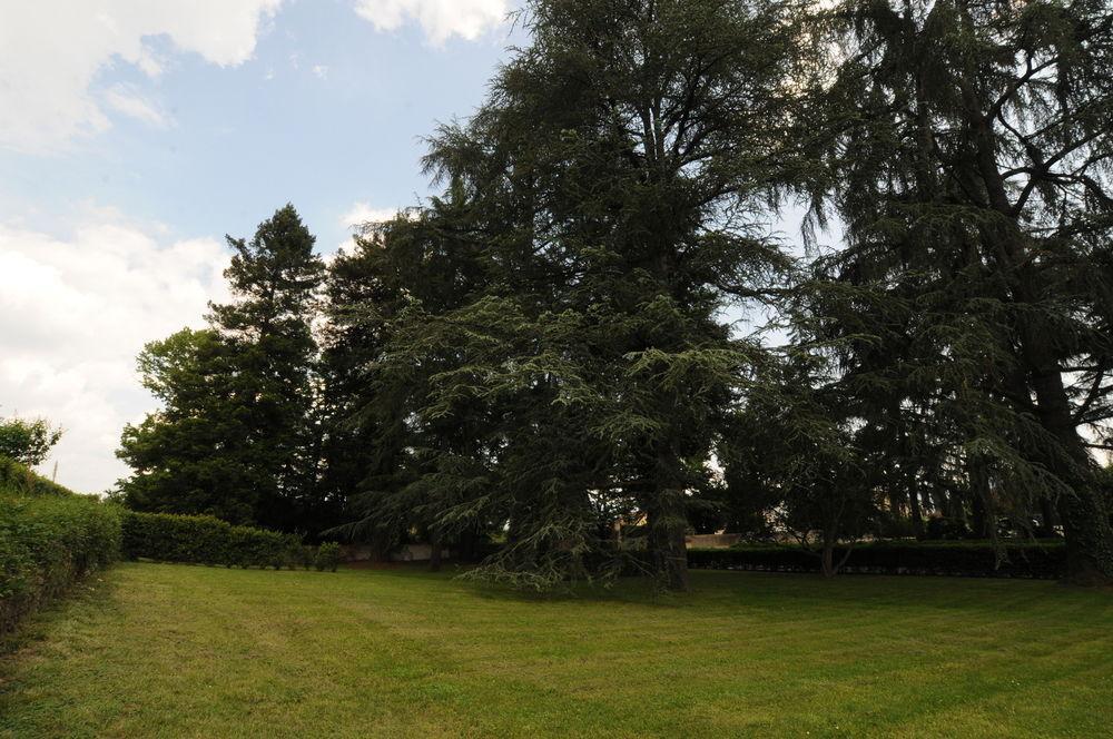 Villa Torricelli By Il Giardinetto Scarperia Eksteriør billede